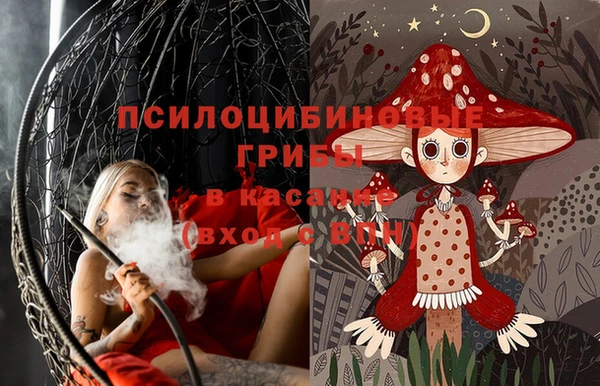 PSILOCYBIN Баксан